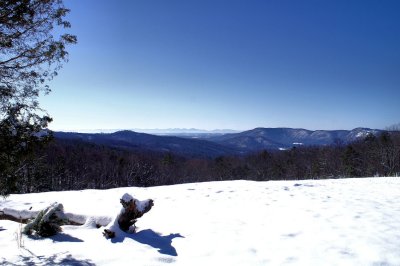 Along trail to Top of Stone Mt. NC .Picture made 1/31/10