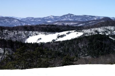 Along trail to Top of Stone Mt. NC  1/31/10.