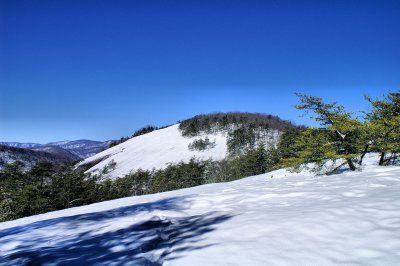 Looking At The Top OF Stone Mt. 1/31/10