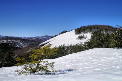 Looking At The Top OF Stone Mt. 1/31/10