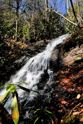 The Upper  Park of the Falls We Found About 15 Ft.