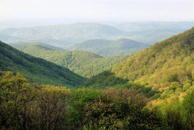 Harris Creek is in the Valley to the Right of Ridge