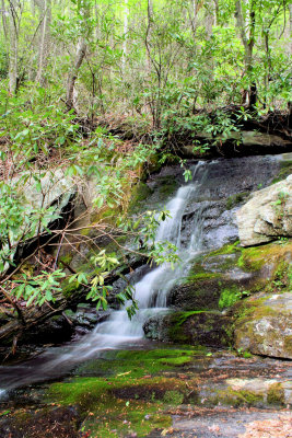 Waterfalls & cascades On Harris Creek NC