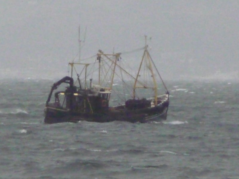 P1000608.JPG