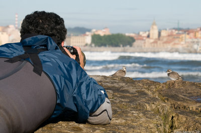 Gijn,the Great ringed plovers  and me.