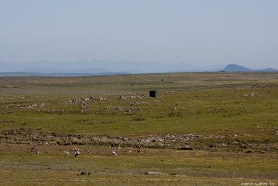 La Serena.