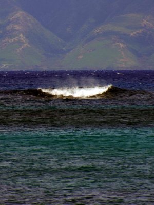 Maui Surf