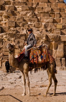 young rider on his camel