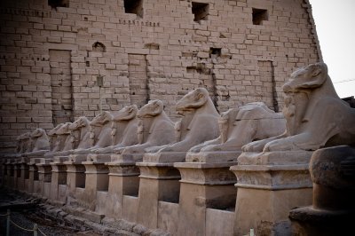 avenue of ram sphinxes at Karnak