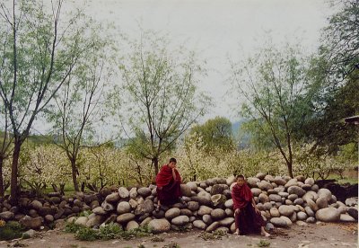 Monks in Bhutan Before Blooming Apple Trees_1.jpg