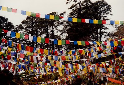 Colorful Prayer Flags