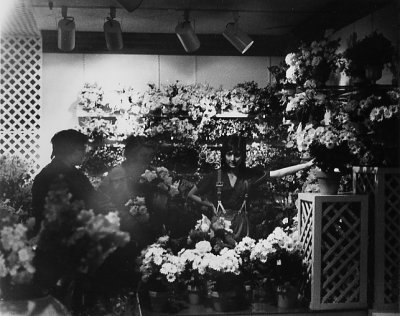 flower shop att NJ mall 1970s
