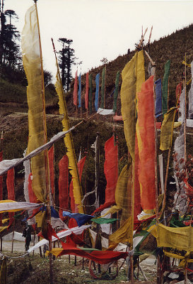 Bhutan prayer flags on mountain