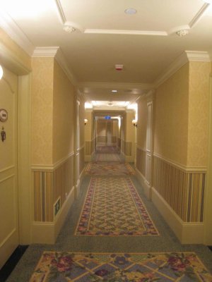 29_8_08_120.jpg