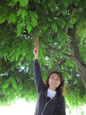 26_12_09_040.jpg