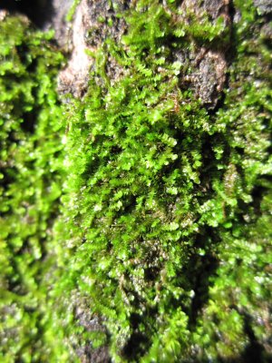 29_12_09_027.jpg