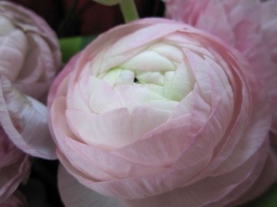 250310g.jpg