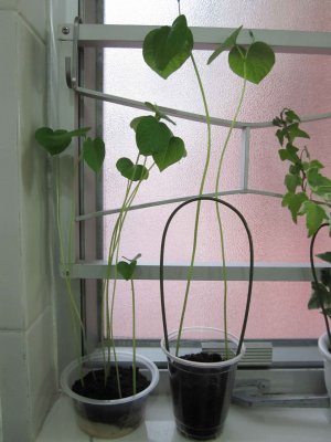 14_4_10j.jpg