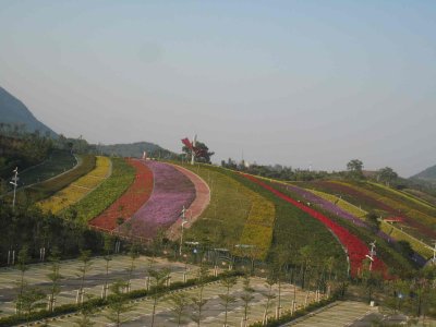 IMG_5794.jpg