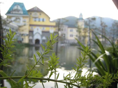 IMG_5825.jpg