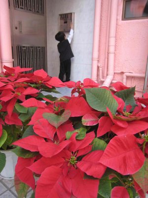 15_12_07_33.jpg