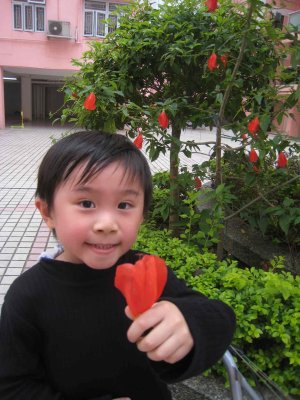 4_4_08_26.jpg