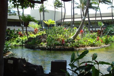Hawaiin Garden @ McCarran Airport