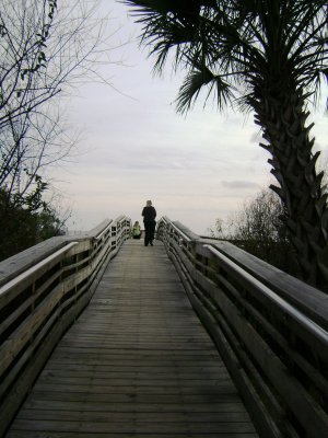 Beyond the hammock park was their private wooden bridge to take you out to the beach area.