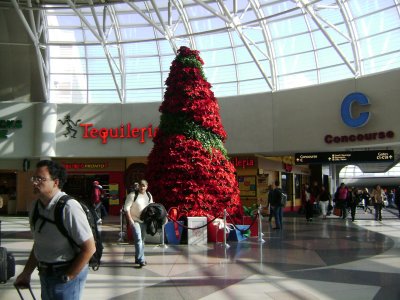 My flight layover was in Charlotte, N.C., which the next few shots were taken at.  I was really impressed with the beauty of their airport. 