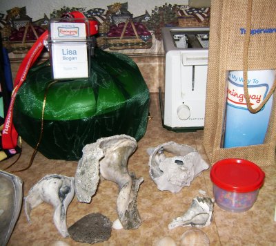 The clear, plastic case sitting on top of the large green bag is like what everyone was given to wear during our stay so we could be easily recognizable as on this trip. In addition to being water-tight, it was designed so it could hold not only our ID, but a cell phone, driver's license and credit card if we desired to.