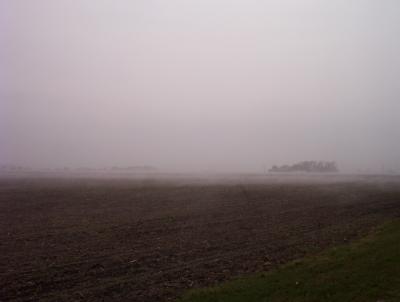 A pretty foggy scene one morning looking across the barren land surrounding our house.