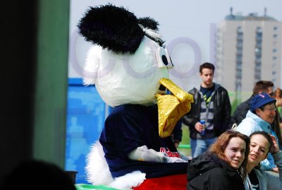DSC_1126.JPG