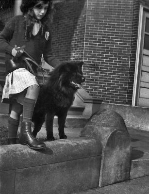 Edith,dog.jpg