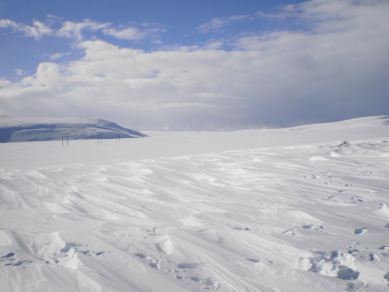 Reykjaheii 4/4 2010