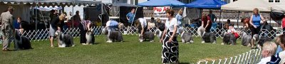 g3/21/21821/3/102243534.xb89FNNo.jpg