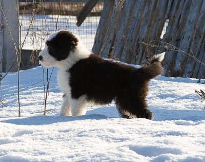 DMPups8298.jpg