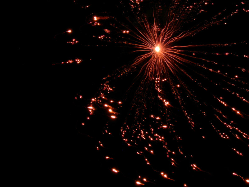 Fireworks ~ whoo-hoo!