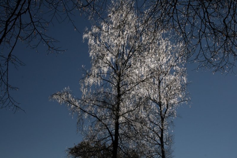 A cold and frosty morning - last Wednesday, today it rains!