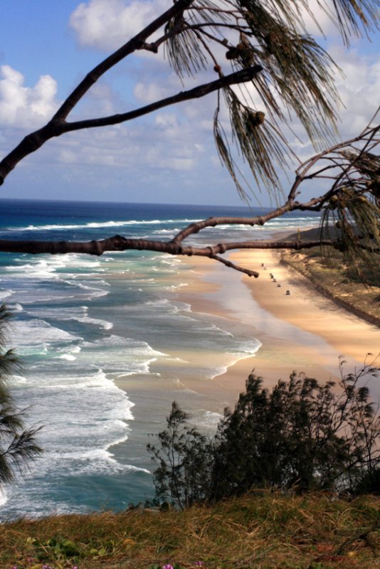 Fraser Island