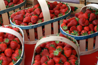 French fraises