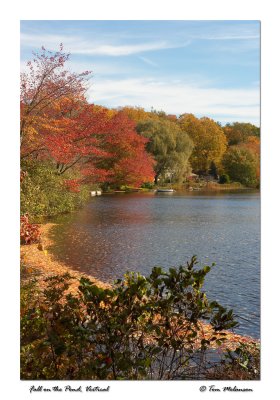 Fall-on-Pond-Vertical.jpg