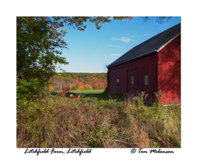 LitchfieldFarm1.jpg