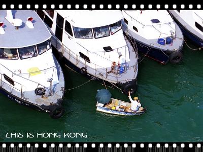 Tying boats up in typhoon shelter