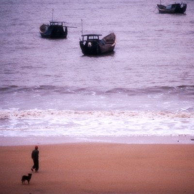 Sea Watchers  ڻqݮ