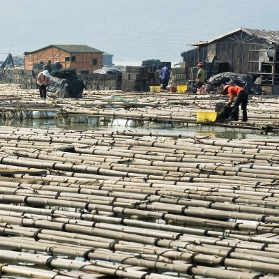 Floating Fish Farms  곽