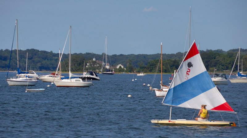 Oyster Bay