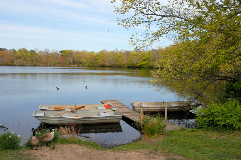 Connetquot River State Park, Oakdale