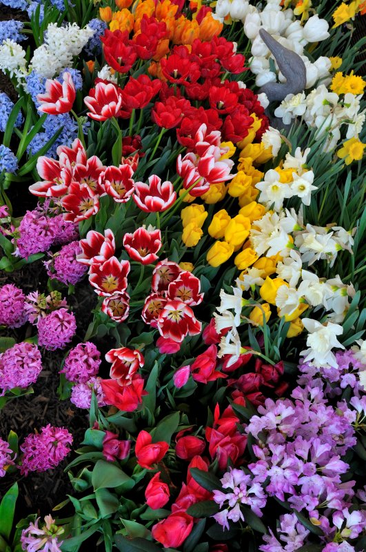 Hicks Nursery