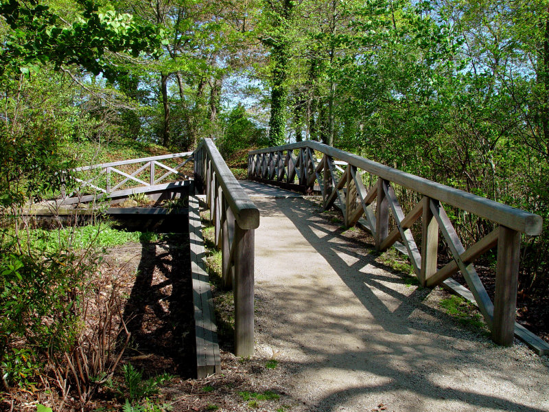 Bayard Cutting Arboretum