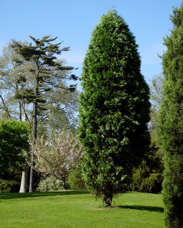 Bayard Cutting Arboretum
